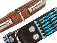 Leather Collars & Leads