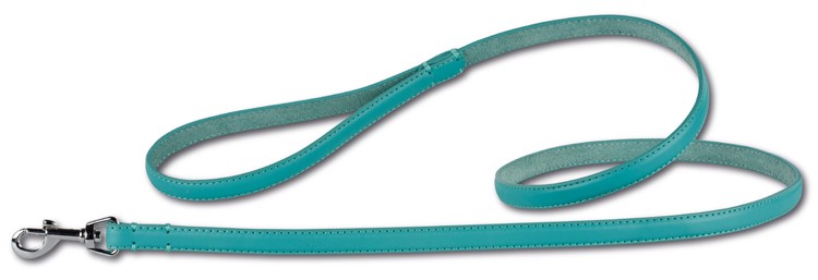 Leather leash Turquoise/Silver 