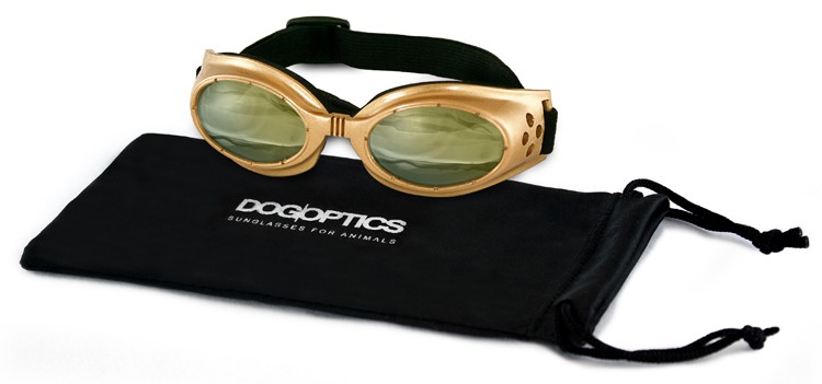 Sunglasses Dogoptics Ibiza Gold frame/Light Mirror lens 