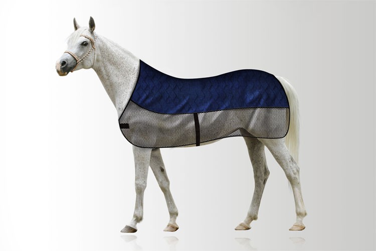 Aqua Coolkeeper Cooling Blanket for Horses