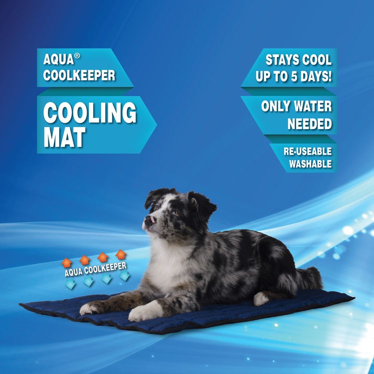 Afwijzen Schep begroting Aqua Coolkeeper Cooling Mat - Aqua Coolkeeper for Pets - Cooling Products  for Pets, People & Horses - Our Products