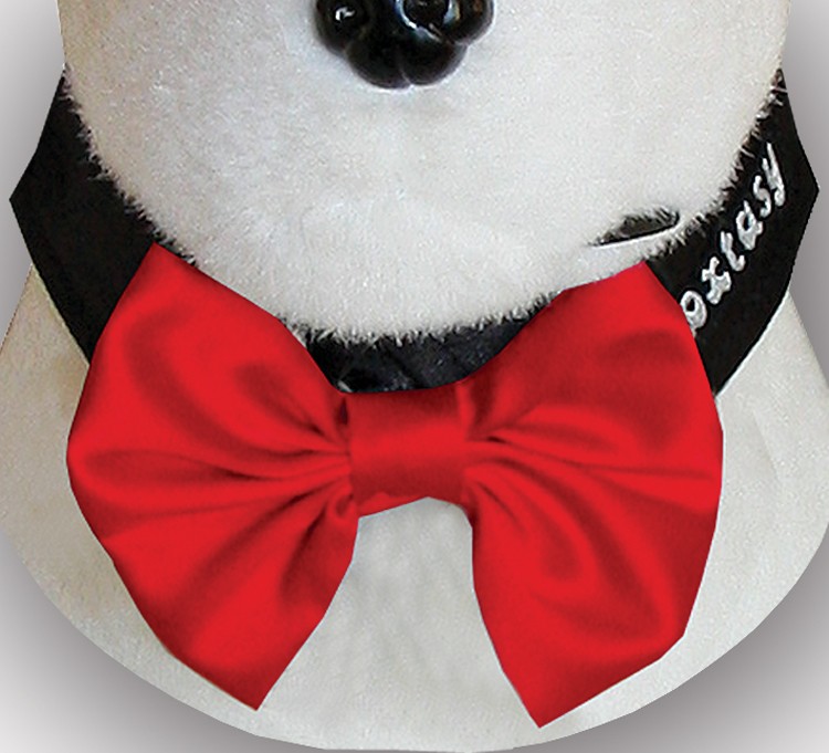 Bow Tie Black/Red 