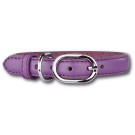 Leather Collar Purple/Silver 