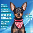 Aqua Coolkeeper Cooling Pet Bandana