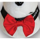 Bow Tie Black/Red 